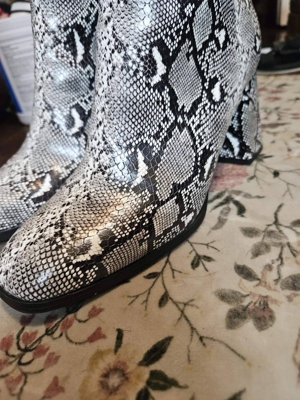 Madden Girl Snake Print Ankle Boots - Black & White